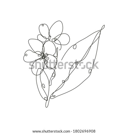 Decorative hand drawn plumeria flower, design element. Can be used for cards, invitations, banners, posters, print design. Continuous line art style