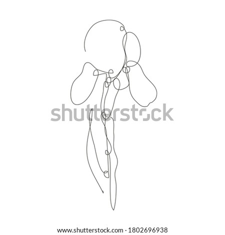 Decorative hand drawn iris flower, design element. Can be used for cards, invitations, banners, posters, print design. Continuous line art style