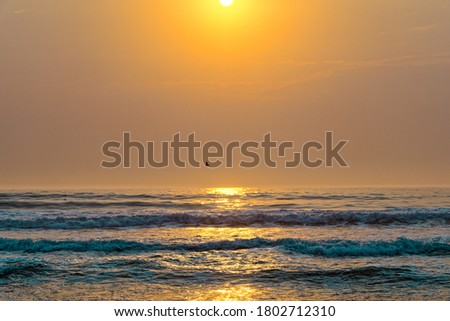 Sunset over the sea and flying birds. Beautiful scenic seascape, tropical beach background