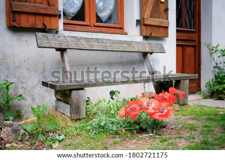 Blooming poppies in front of the bench in French countryside