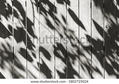 Leaves natural shadow on a gray textured background for overlay on product presentation, background and layout