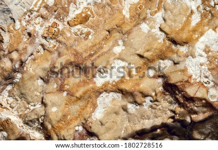 weathered stone surface of the riverbank,wide shot,macro close up