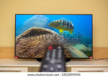 The new Uled tv technology that displays the black leds as pure black unlike the Oled tv Royalty-Free Stock Photo #1802809096