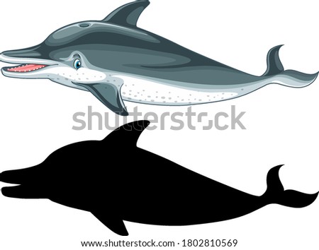Dolphin characters and its silhouette on white background illustration