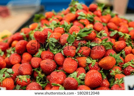 Strawberry mood. The perfect red ripe fresh strawberries