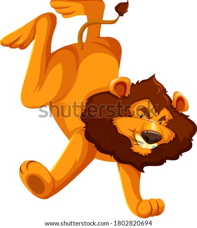 Wild lion on white background illustration