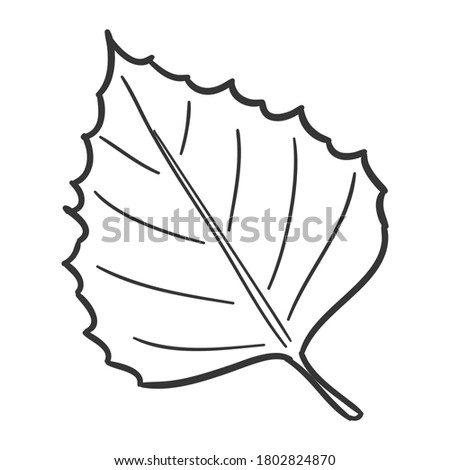 Leaf Tree Traditional Doodle. Icons Sketch Hand Made. Design Vector Line Art.