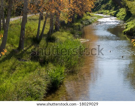 A river flowing with some trees on the riverbank