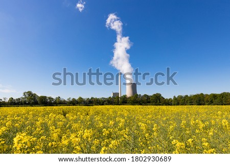 Coal power plant with cooling tower and rapeseed in the foreground