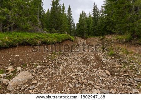 Offroad trail and tracks on a dirt road through the forest Royalty-Free Stock Photo #1802947168