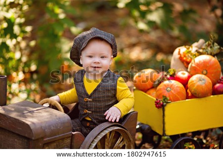 little baby boy in a tractor with a cart with pumpkins, viburnum, rowan, apples. Autumn harvest