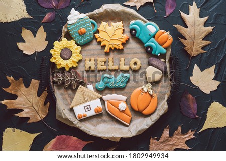 Hello Fall. Multicolored autumn cookies on a black background.