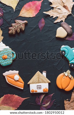 Multicolored autumn cookies on a black background. Autumn concept