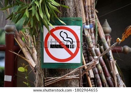 No smoking sign fixing on the tree, international icon or information sign for smoking limitation area