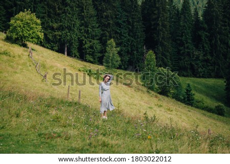 Attractive woman in a long blue dress posing for the camera on a meadow in the mountains on a background of forest. Fashionable photo of a beautiful lady in the mountains on a meadow