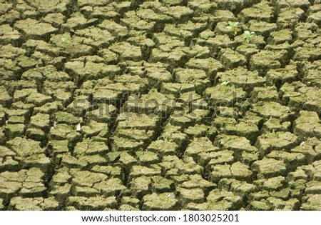 Dry Land, this is the picture of the ground of fields of Palakkad district in Kerala State of India. One of the place in India facing heavy Summer.