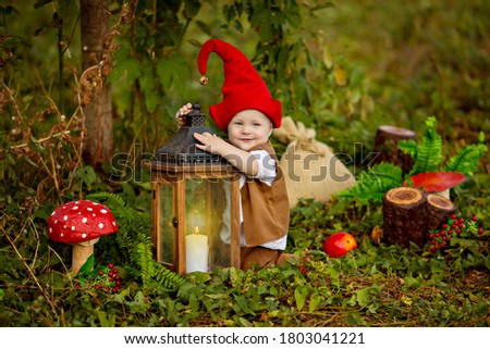 Happy fairytale baby gnome boy playing and walking in the forest, picking mushrooms, eating apples