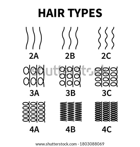 Vector illustration of hair types chart with all curl types, labeled. Curly girl method concept. Waves, coils and kinky hair Royalty-Free Stock Photo #1803088069