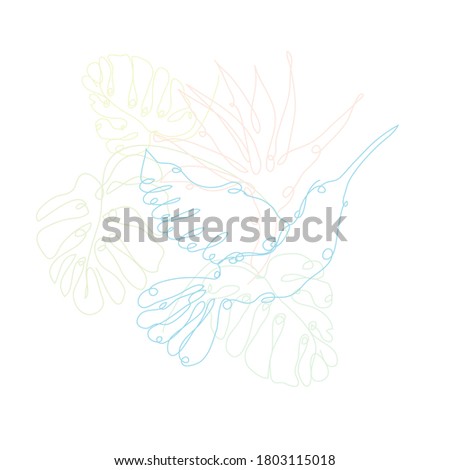 Decorative hand drawn colibri, strelitzia and monstera, design elements. Can be used for cards, invitations, banners, posters, print design. Continuous line art style