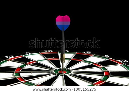 The flag of bisexual is featured on the dart board game, the concept of achieving goals.