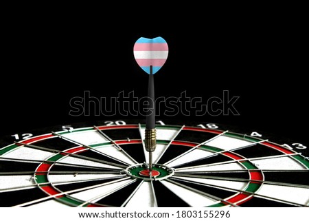 The flag of Transgender is featured on the dart board game, the concept of achieving goals.