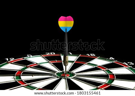 The flag of Pansexuality Pride is featured on the dart board game, the concept of achieving goals.