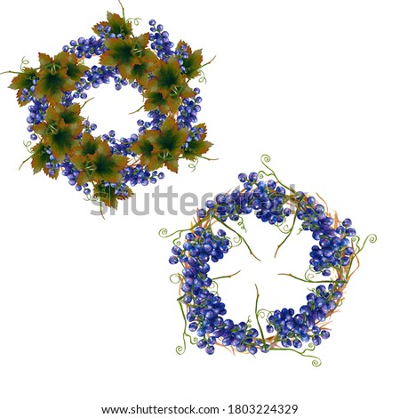 watercolor grapes wreaths perfect to use on the web or in print
