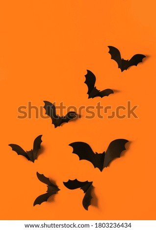 Cartoon halloween background black bats on orange backdrop. Bright holiday backdrop for your design. Dark and moody background. Place for text.