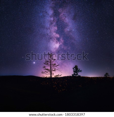 milky way galaxies and tree silhouette