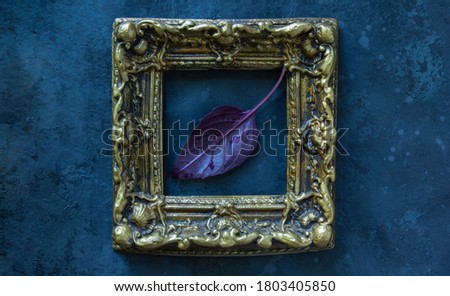 Fresh red basil herb leaf in golden frame on black background. Purple Dark Opal Basil. Concept for luxury nutrition. Top view.