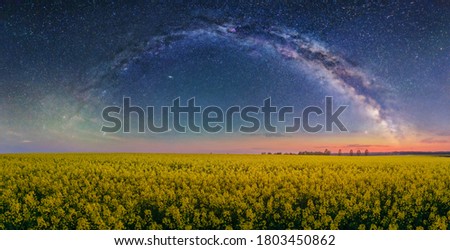 Summer field of flowering rapeseed under the Milky Way light Royalty-Free Stock Photo #1803450862