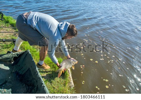 The sport fisherman releases the caught carp back into the water. He previously measured it and took a picture with the fish.