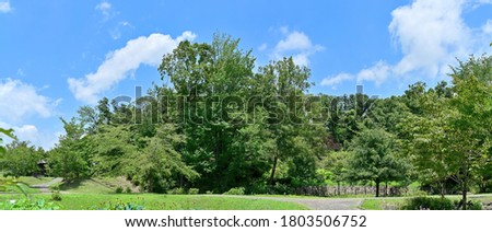 Panoramic view of lotus pond park in the summer sky background