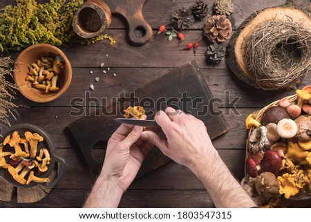 Autumn harvest of mushrooms on vintage rustic wooden background. Rustic kitchen table. Flat lay top, top view . Layout with free text space.