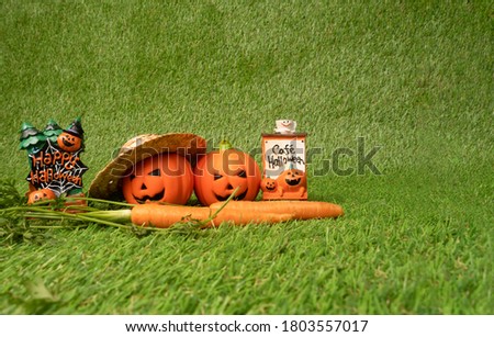 Halloween decorations, jack-o-lantern, carrots, on green grass with copy space.