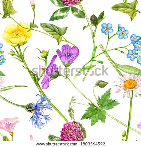 watercolor seamless pattern with drawing flowers , floral background, wildflowers and plants, hand drawn illustration