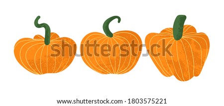 Set of pumpkins isolated on white background. Vectors pumpkins icons in flat cartoons style with texture. Elements for your design works. Halloween and Thanksgiving Day symbol.
