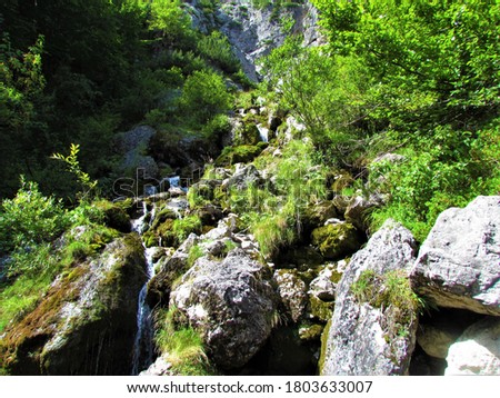 Nadiza creek in Tamar in Julian alps and Triglav national park, Slovenia with large rocks covered in moss andd surrounded by lush foliage