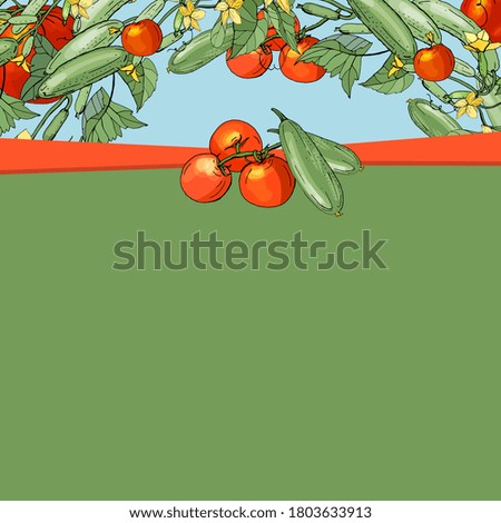 Square greeiting card with tomatoes and cucumbers for festive and season design