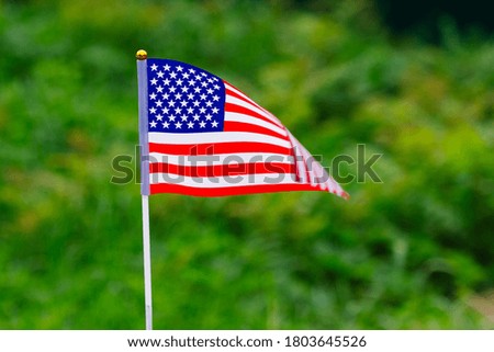 American Flag waving in the green grass background. A patriotic national flag with waves