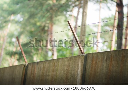 Barbed wire fence in the forest