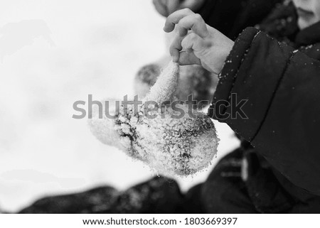 Children's hands are holding snow-covered woolen mittens. Black and white photograph of mittens in the snow.