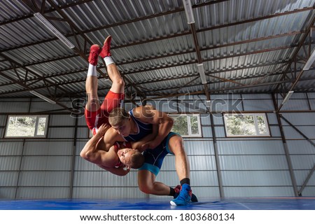 The concept of fair wrestling. Two greco-roman  wrestlers in red and blue uniform wrestling   on a wrestling carpet in the gym. Royalty-Free Stock Photo #1803680134