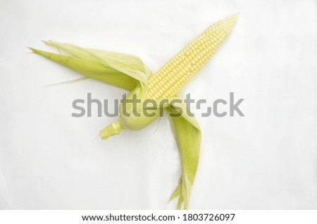 the ripe corncob with green leaves isolated on white background.