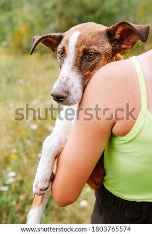 1 dog sitting on the hands of a man on a background of greenery, sad muzzle of a puppy