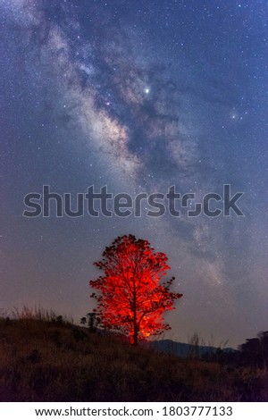 Milky way galaxy with stars and space dust in the universe over red tree, long speed exposure.