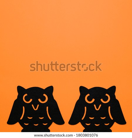 Two black owls with copy space in the top for Halloween