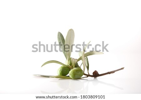 Olive twig with olives on reflective white table and white isolated background