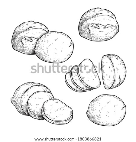 Hand drawn sketch style mozzarella cheese set. Traditional Italian soft cheese. Single, in group, whole and sliced, top view. Vector illustrations isolated on white background. Royalty-Free Stock Photo #1803866821