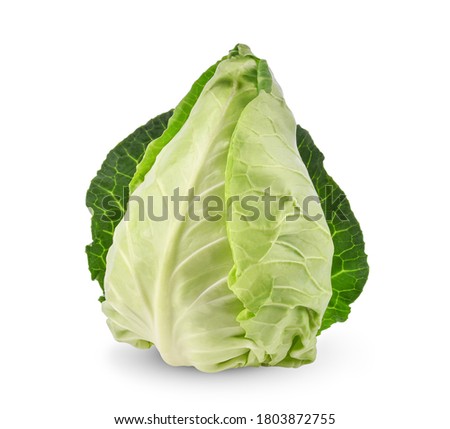 Fresh green pointed cabbage isolated on white background. Royalty-Free Stock Photo #1803872755